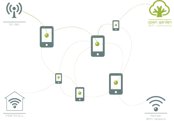 Red Mesh de Open Garden